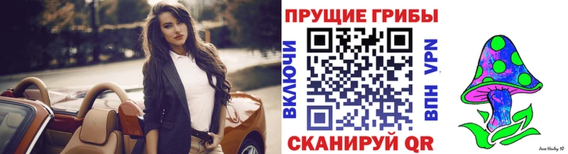 Галлюциногенные грибы Cubensis Черняховск