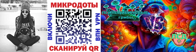 Псилоцибиновые грибы мухоморы купить наркотики цена дарк нет Telegram Черняховск
